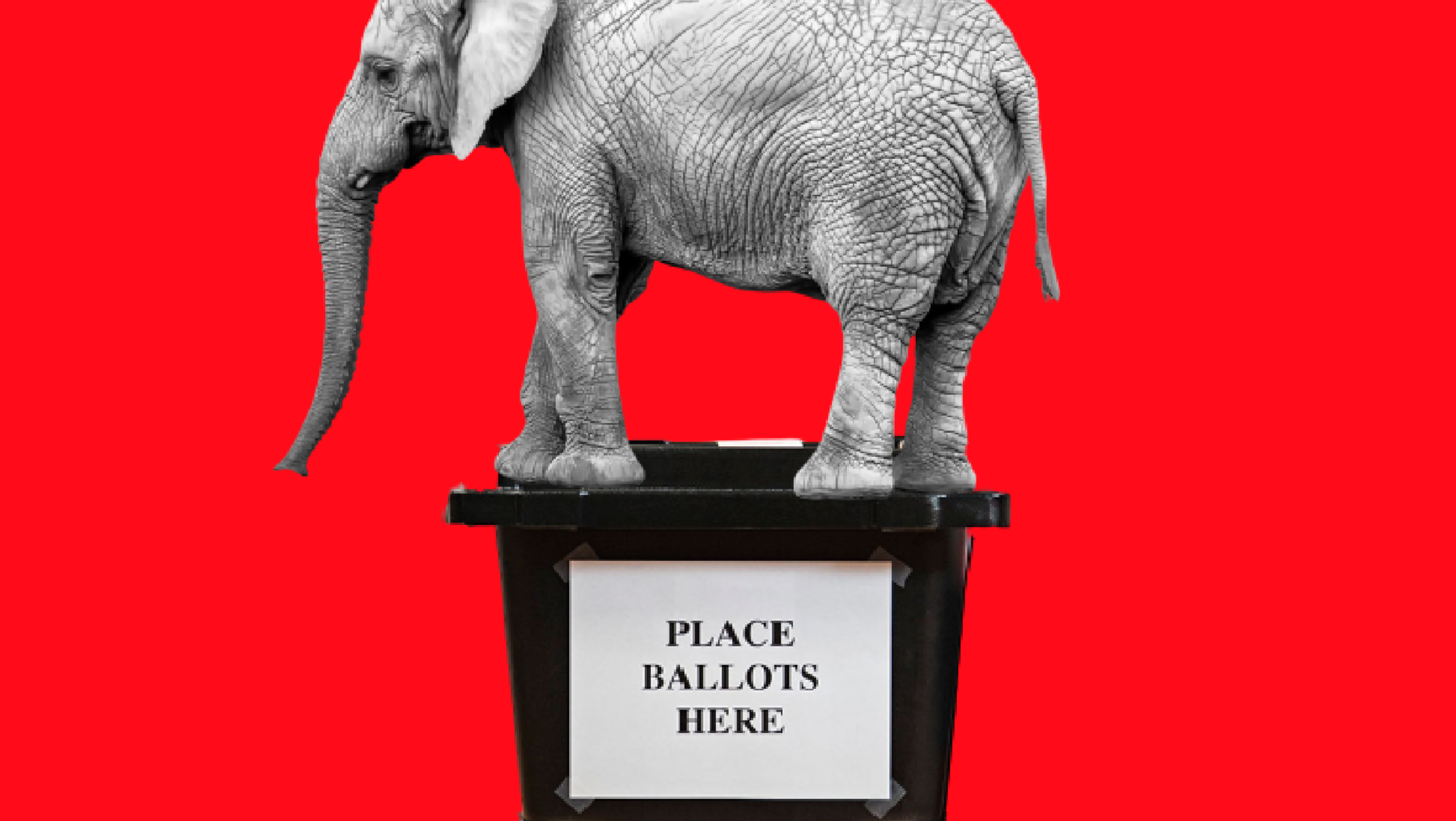 An elephant standing on top of a sealed box that says "Place Ballots Here"