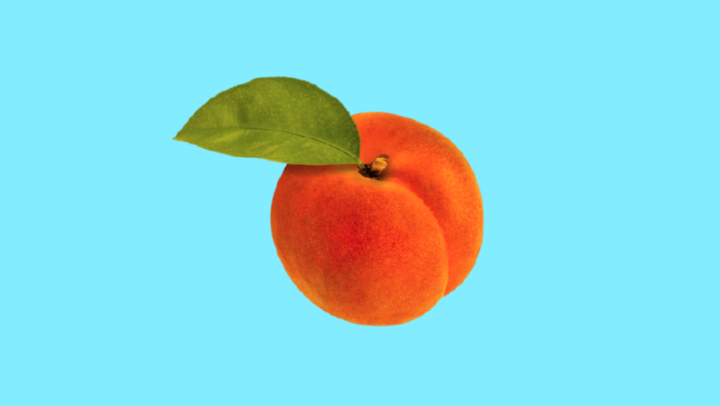 A large Georgia peach