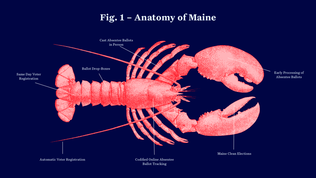 An anatomy chart of a lobster with the title "Anatomy of Maine" with each body part labeled as a different component of Maine's voting process, including "Early processing of mail ballots," "Maine Clean Elections," "Codified Online Absentee Ballot Tracking," "Automatic Voter Registration," Same Day Voter Registration," "Ballot Drop Boxes," and Cast Absentee Ballot in person."