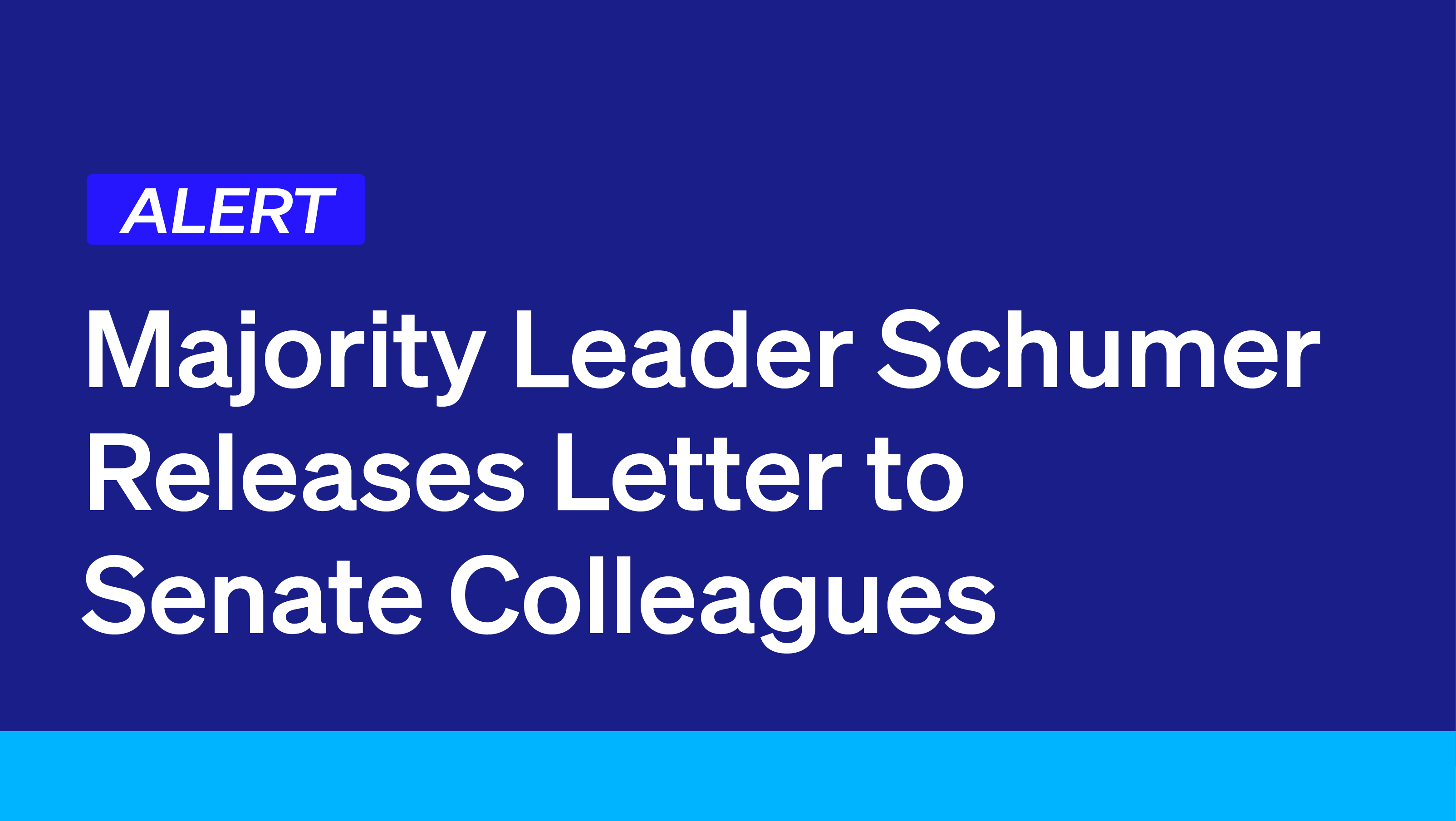 Democracy Alerts Majority Leader Schumer Releases Letter To Senate 