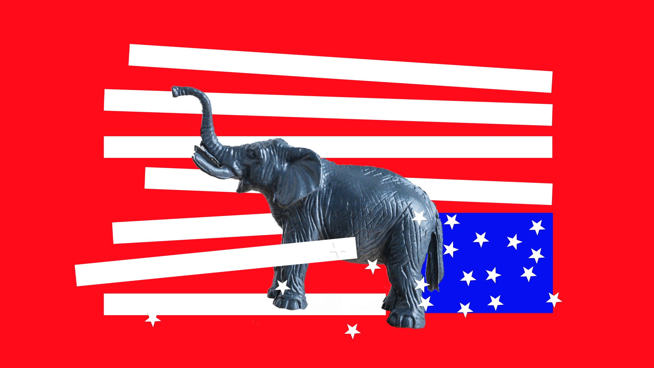 An angry-looking elephant tangled in the stripes of an upside-down American flag