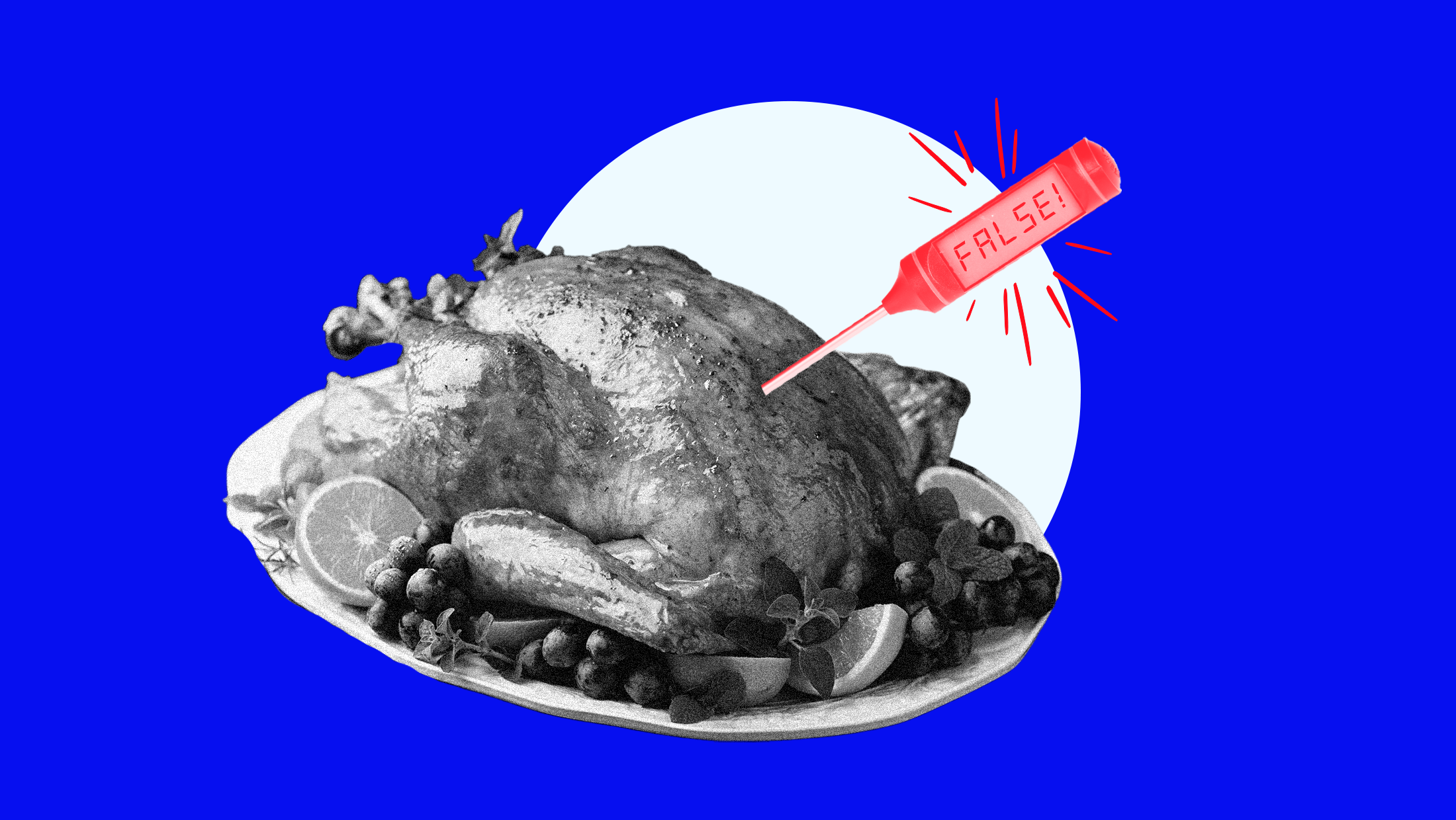 A meat thermometer that reads "FALSE" inserted into a traditional Thanksgiving turkey