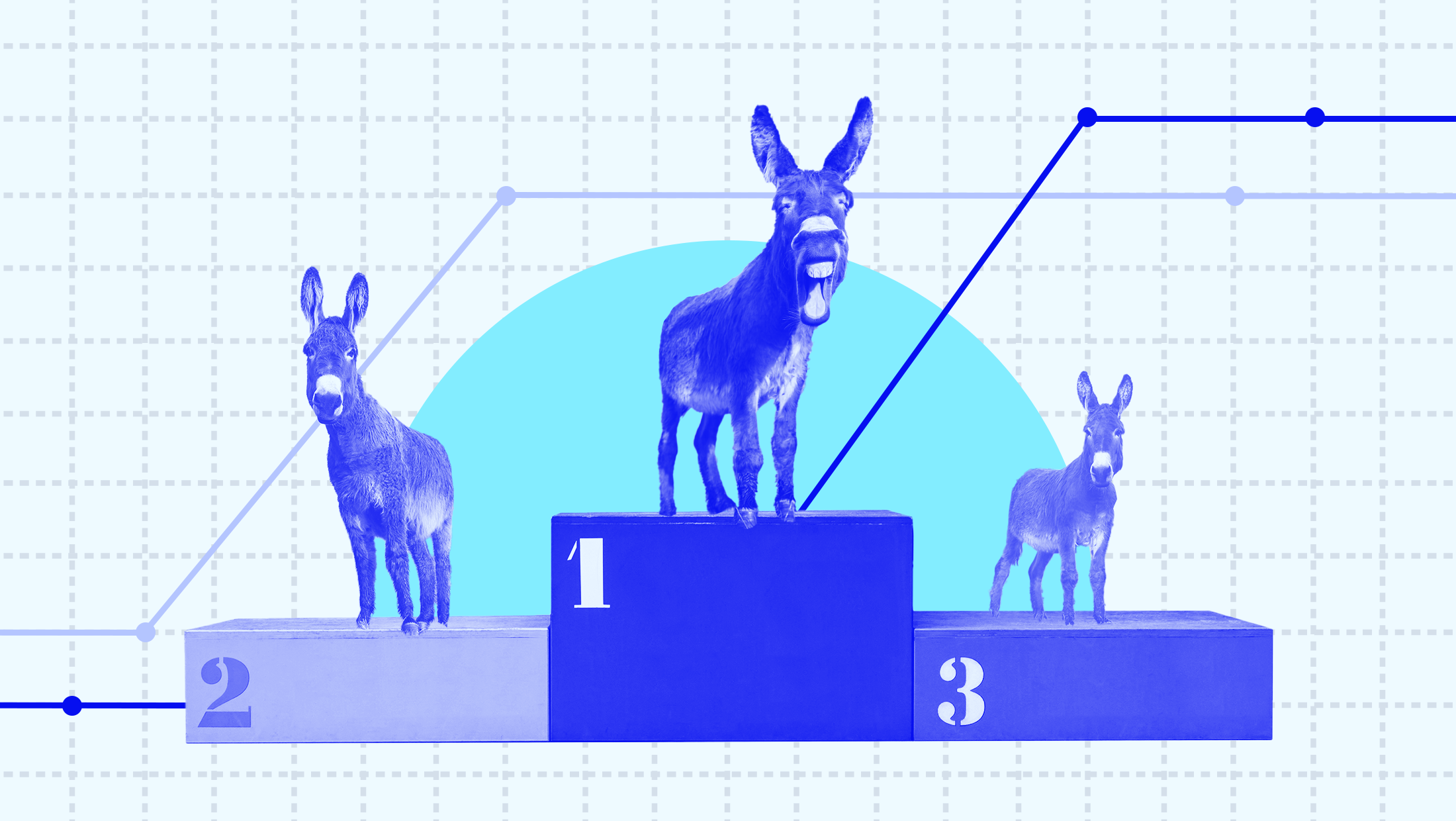 Three blue donkeys occupying all three spots on a podium that is labelled with the numbers 1, 2 and 3, mounted on a piece of graph paper with various data points