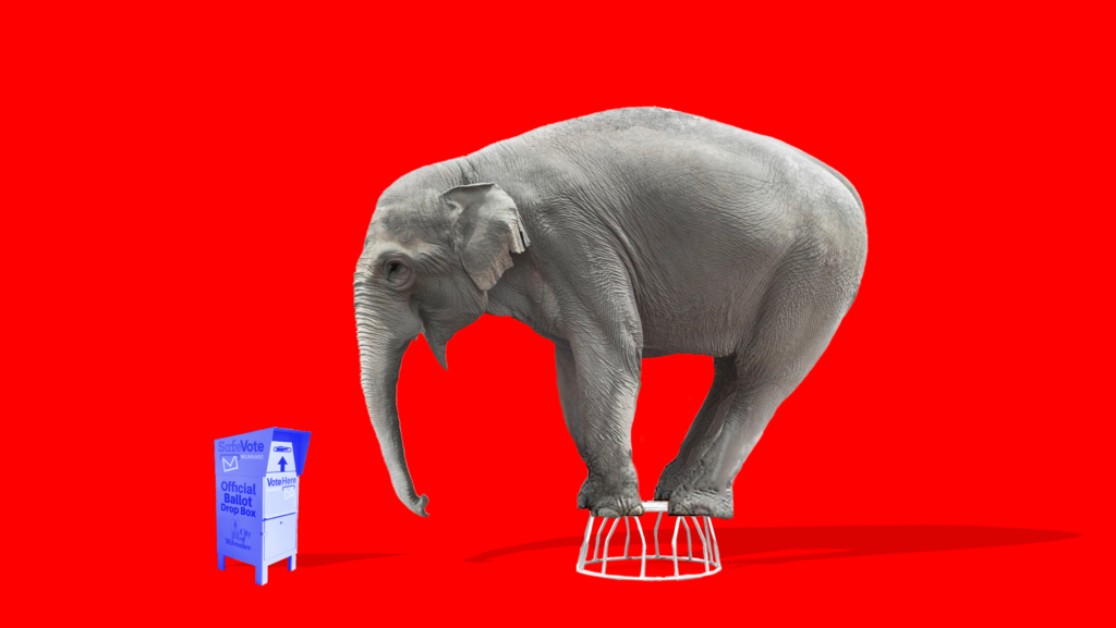 An large elephant balancing on a stool cowering away from a small ballot drop box, on a bright red background.