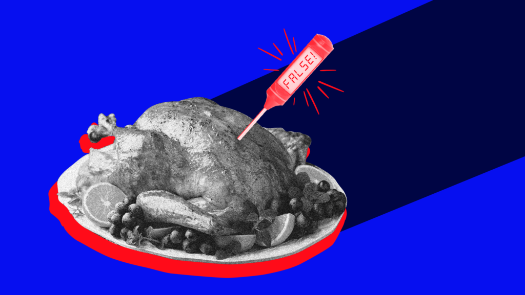 A red meat thermometer that reads "FALSE" inserted into a traditional Thanksgiving turkey with a shadow behind it.