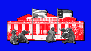 Blue background with red toned image of the North Carolina Legislature and black and white toned elephants sitting in front, the American flag turned upside down and the North Carolina flag facing upright.