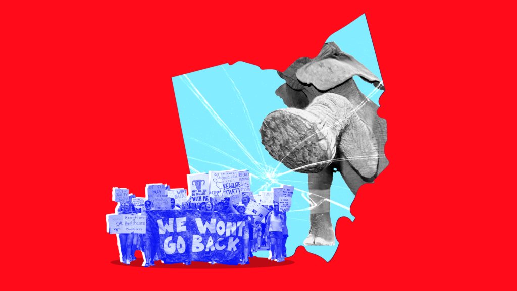 Red background with light blue-tinted shape of Ohio with elephant kicking through the state shape and an image of people protesting and holding up signs that read "WE WON'T GO BACK"
