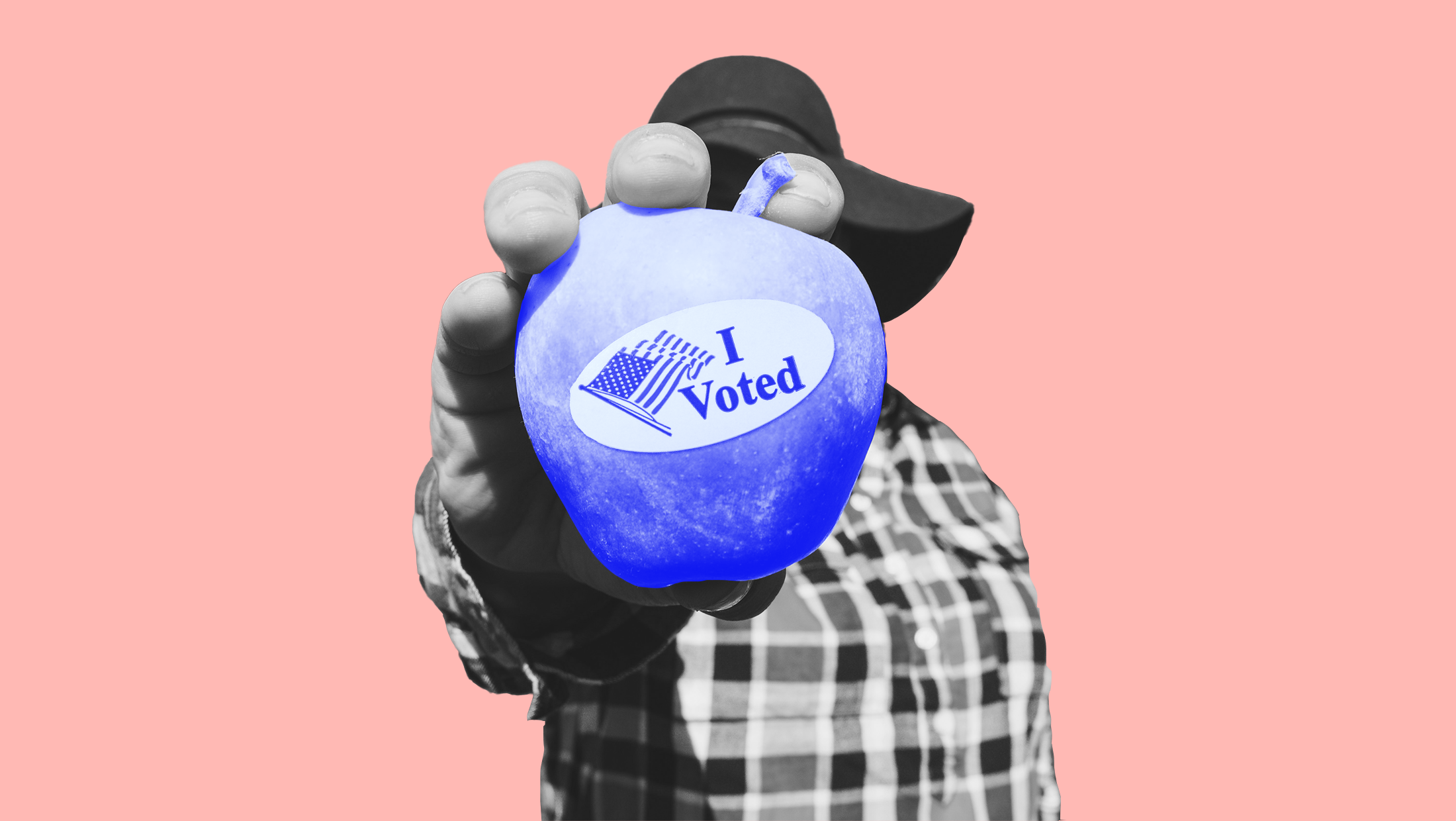 Pink background with a rural voter holding up a blue toned apple that has an "I voted" sticker on it.