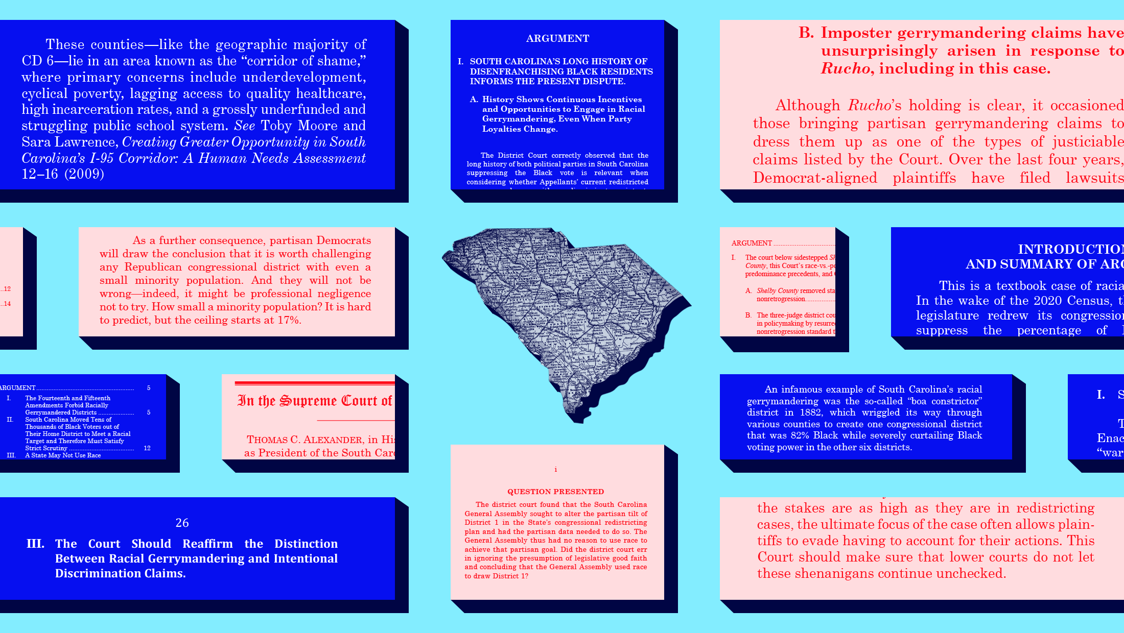 A blue background with a map of South Carolina in the middle surrounded by excerpts from amicus briefs shaded in blue and red.