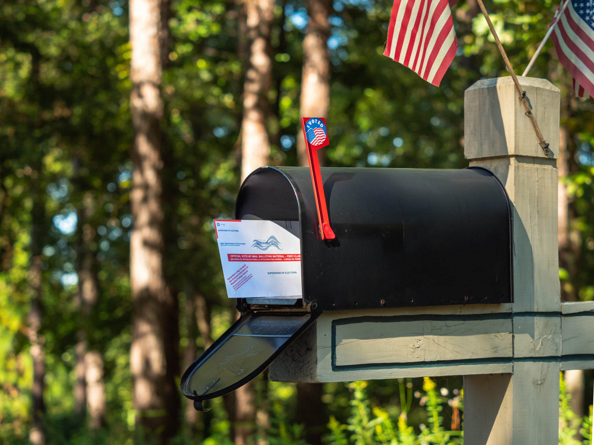 Trump-Appointed Judge Dismisses Right-Wing Attempt To Curtail North Dakota’s Mail-in Ballot Receipt Deadline (democracydocket.com)