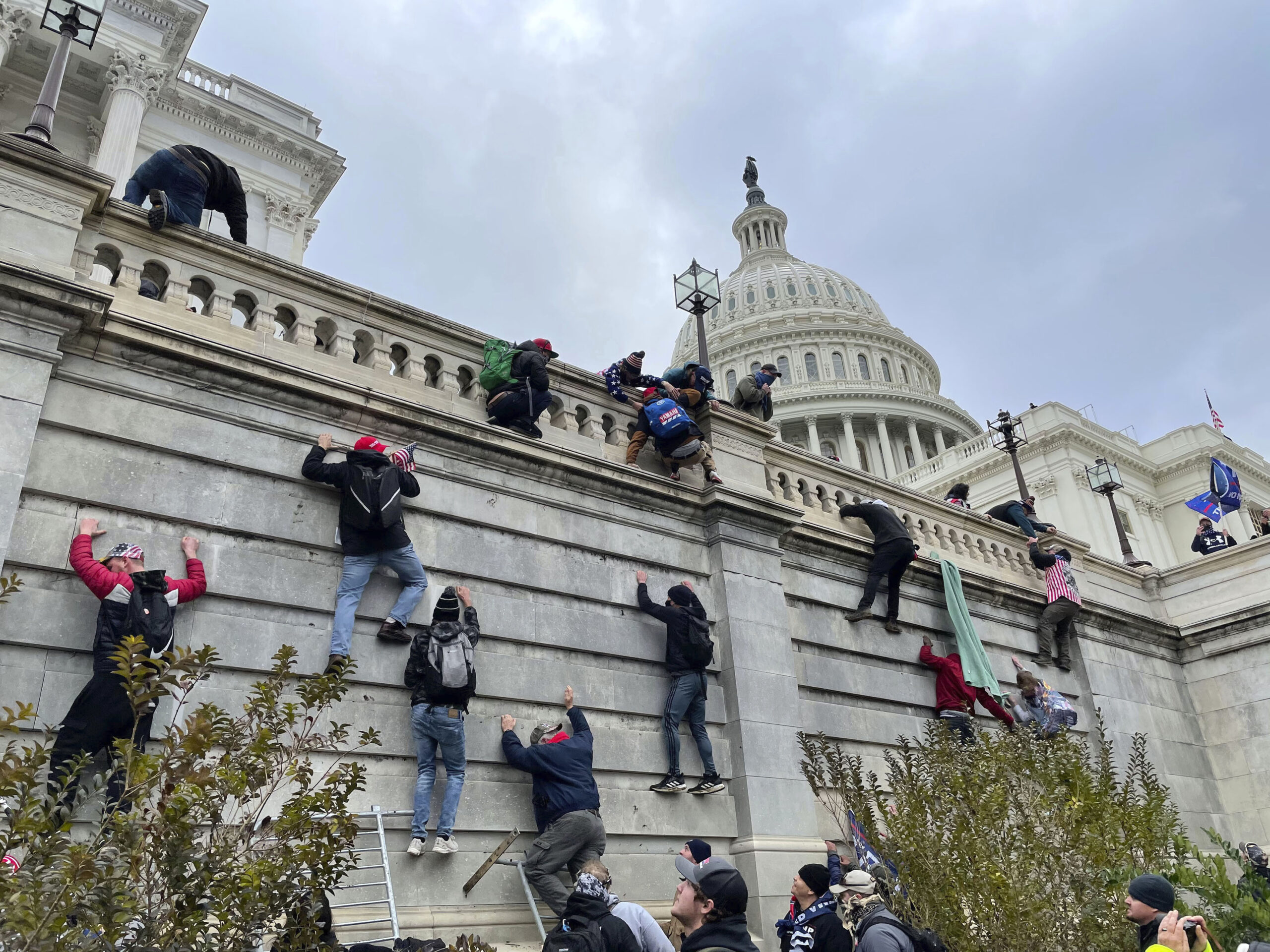 Trump must fire 2020-denier Kurt Olsen from election integrity post, Democratic senators demand