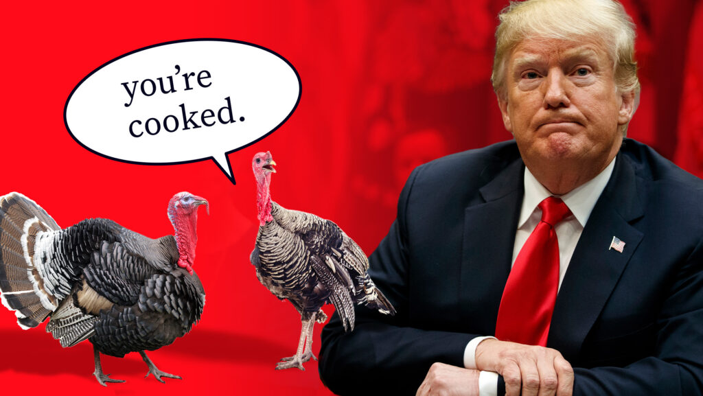Trump with two turkeys, one of which is saying, "you're cooked."