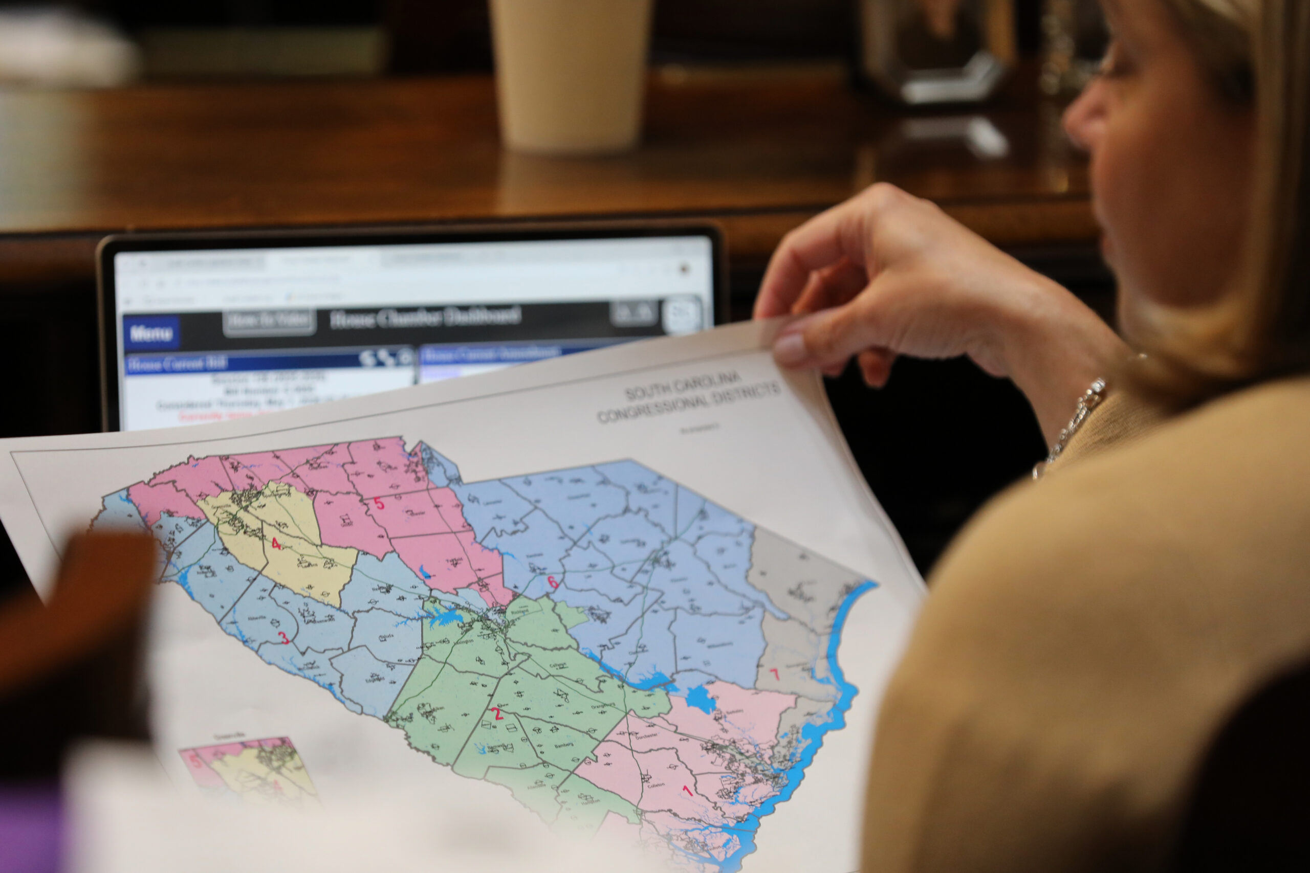South Carolina moves to cancel June primary to allow for GOP gerrymander