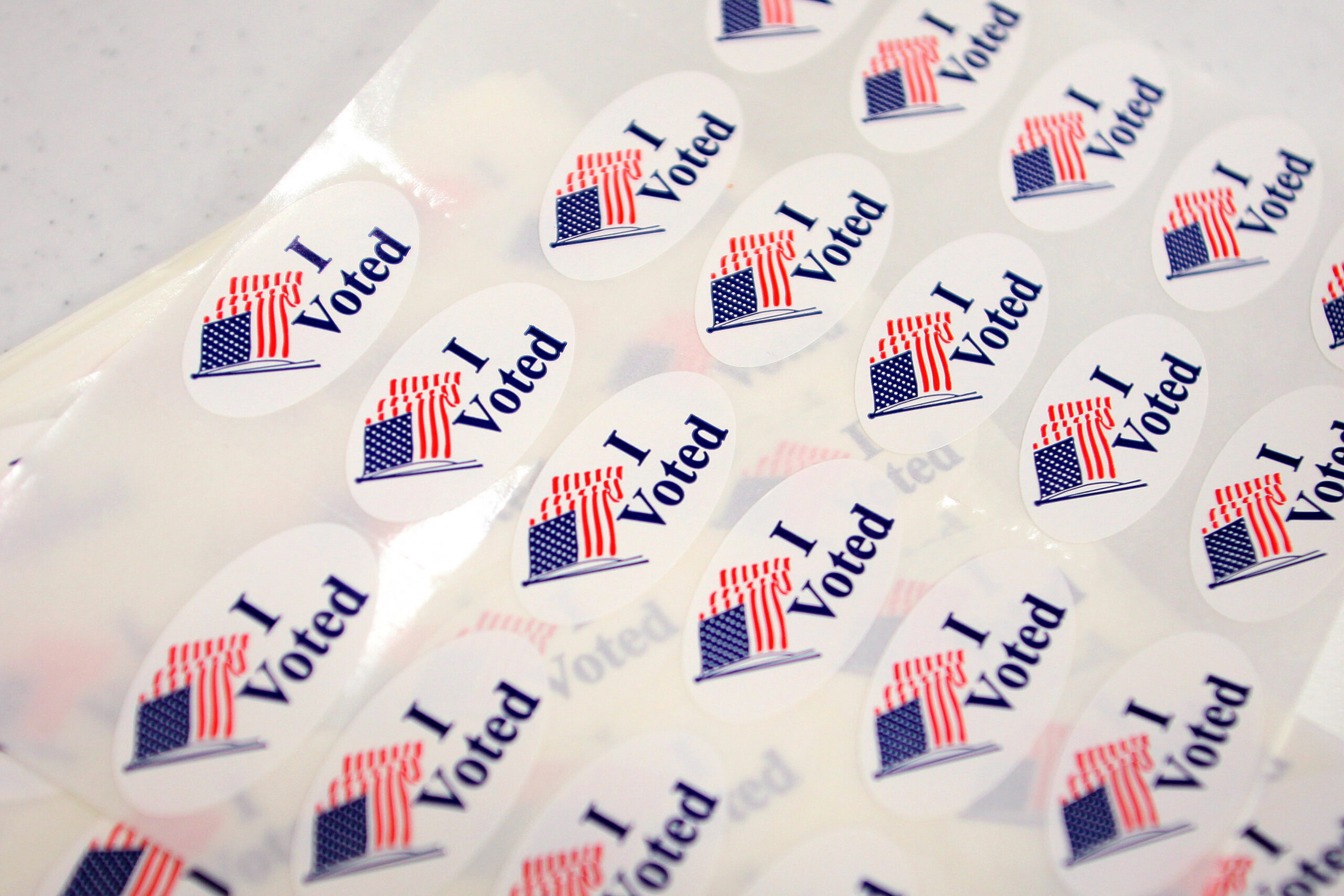 Judge Denies Challenge to South Dakota’s Proof-of-Citizenship Voting Law
